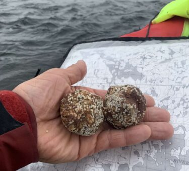 stephan holding energy balls on a trip
